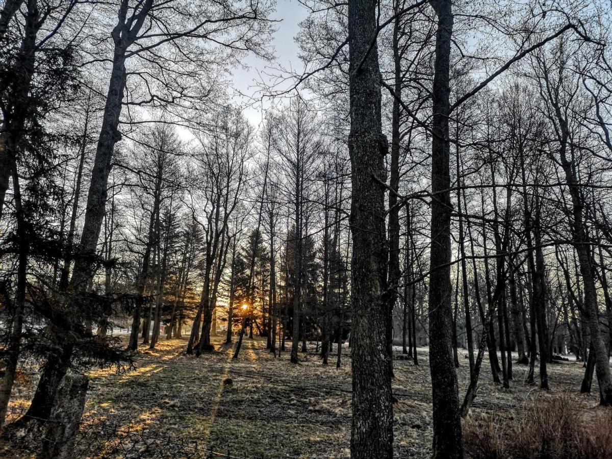 Apartmány Červený Dvůr Chvalšiny Exterior foto
